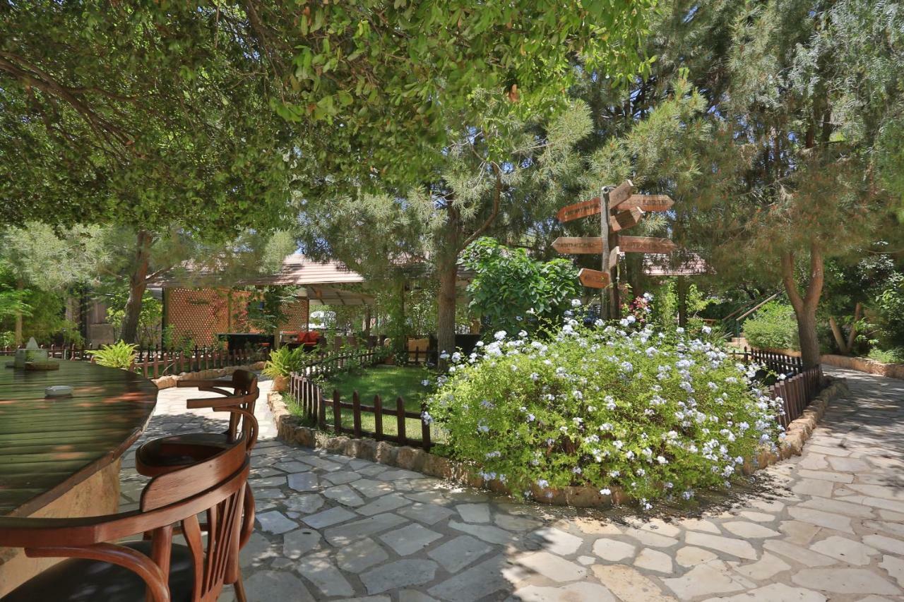 Mountain Breeze Lodge & Resort Salt Dış mekan fotoğraf